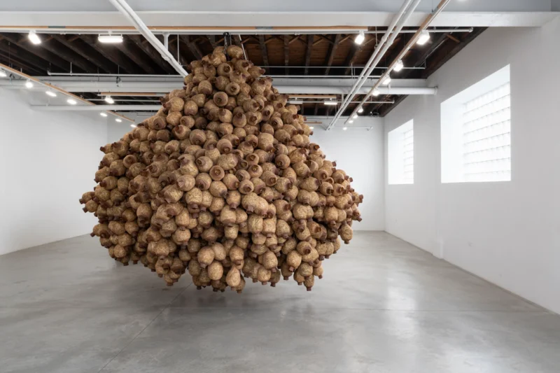 Installation shot from Kat Howard: In place of no, my mouth leaks honey, @ CARVALHO