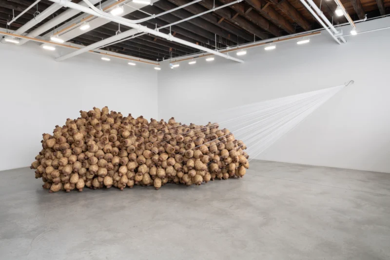 Installation shot from Kat Howard: In place of no, my mouth leaks honey, @ CARVALHO