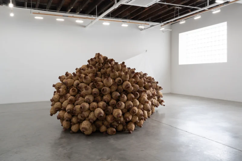 Installation shot from Kat Howard: In place of no, my mouth leaks honey, @ CARVALHO
