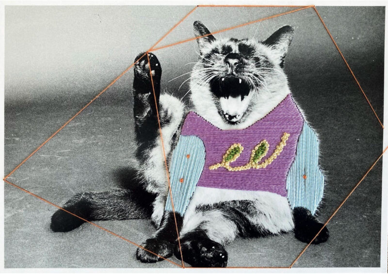 Mana Urakami, Cat, 2026