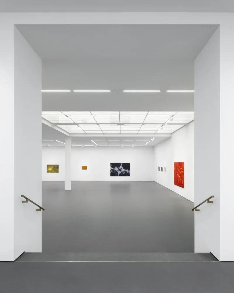 Installation shot from Tauba Auerbach: Easy Assembly, @ Esther Schipper