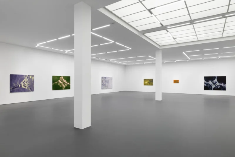 Installation shot from Tauba Auerbach: Easy Assembly, @ Esther Schipper