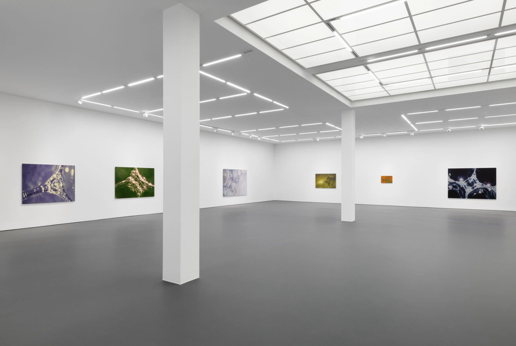 Image for Tauba Auerbach: Easy Assembly, at Esther Schipper