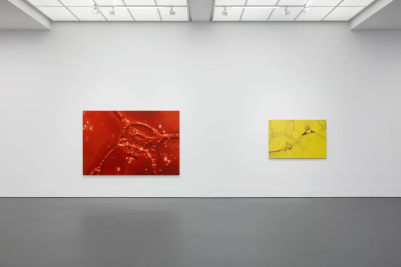 Installation shot from Tauba Auerbach: Easy Assembly, @ Esther Schipper