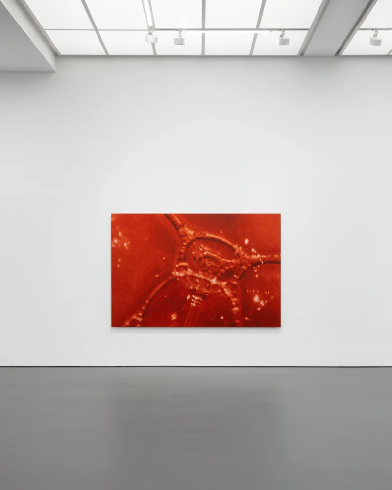 Installation shot from Tauba Auerbach: Easy Assembly, @ Esther Schipper