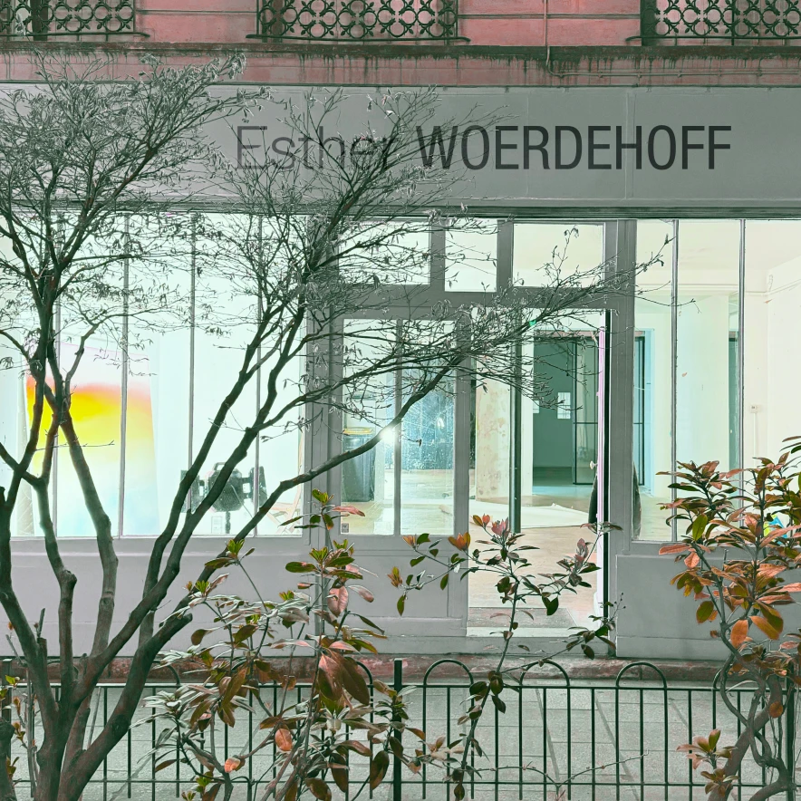 Image for Ribal Molaeb, at Galerie Esther Woerdehoff