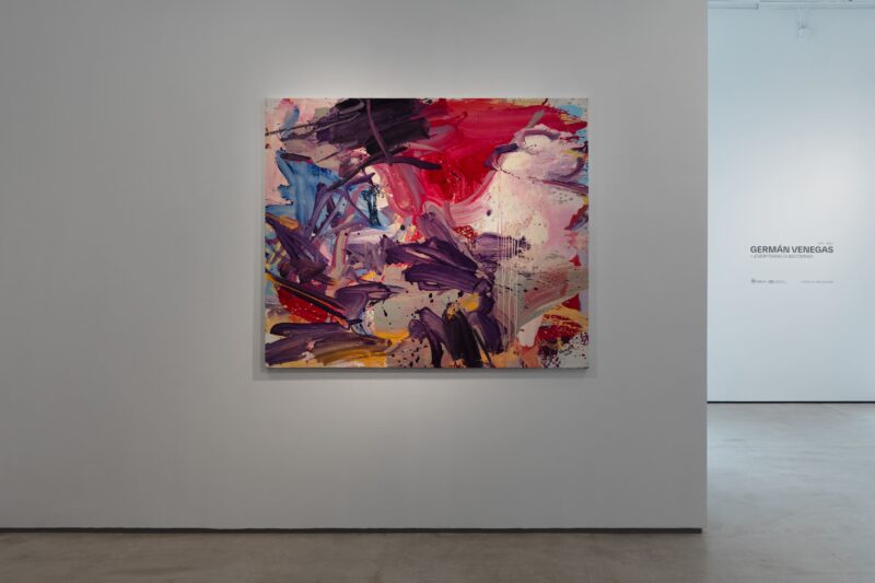 Installation shot from Germán Venegas: Everything Is Becoming, @ Colector