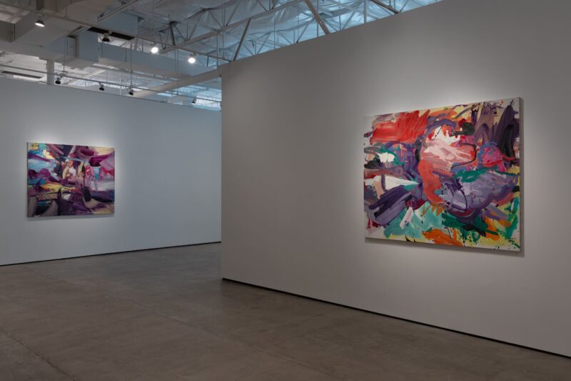 Installation shot from Germán Venegas: Everything Is Becoming, @ Colector