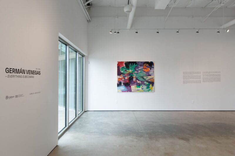 Installation shot from Germán Venegas: Everything Is Becoming, @ Colector