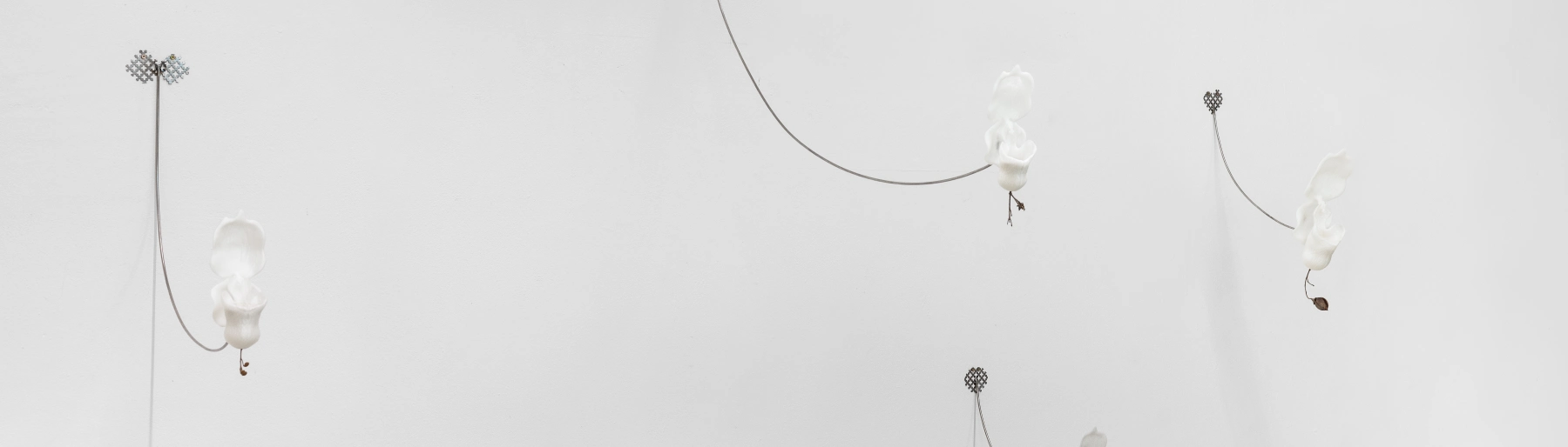 Image for Focus On. So Young Park: Gestated Leak at Galerie Kandlhofer