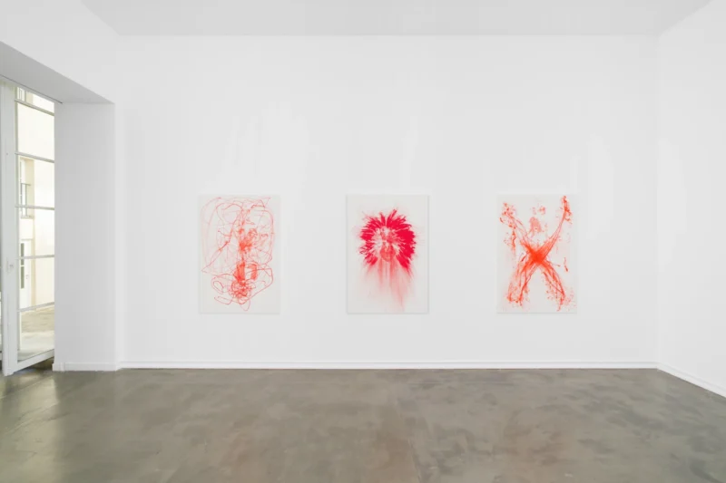 Installation shot from Katja Schenker: French Vermilion, @ Galerie Mitterrand