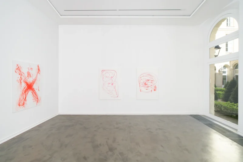 Installation shot from Katja Schenker: French Vermilion, @ Galerie Mitterrand