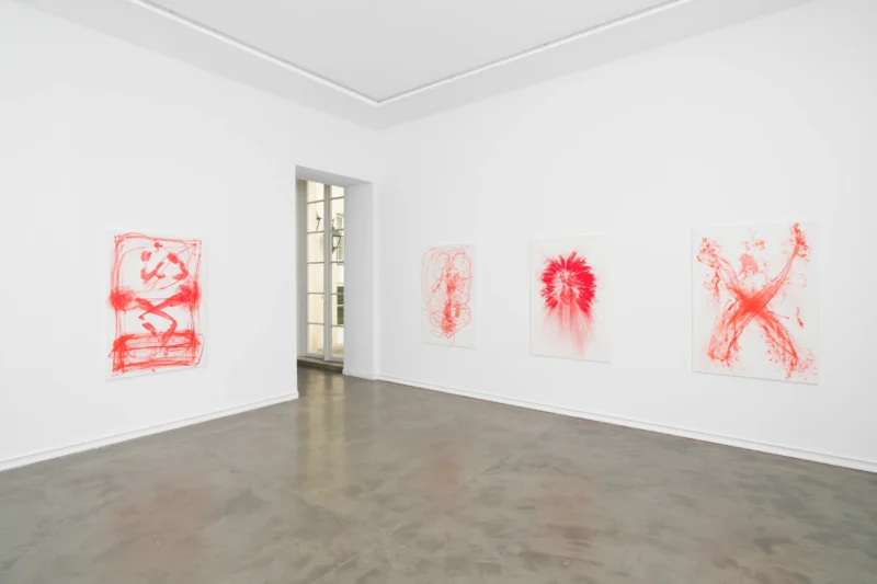 Installation shot from Katja Schenker: French Vermilion, @ Galerie Mitterrand
