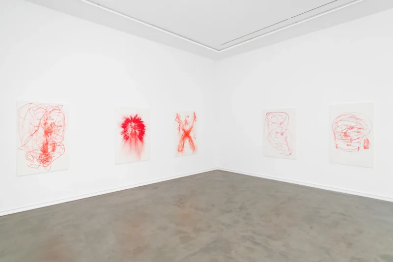 Installation shot from Katja Schenker: French Vermilion, @ Galerie Mitterrand