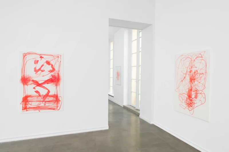Installation shot from Katja Schenker: French Vermilion, @ Galerie Mitterrand
