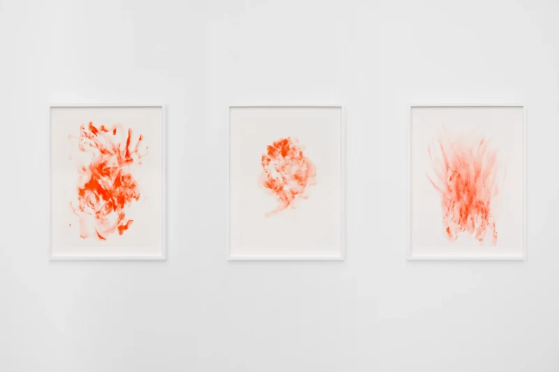 Installation shot from Katja Schenker: French Vermilion, @ Galerie Mitterrand