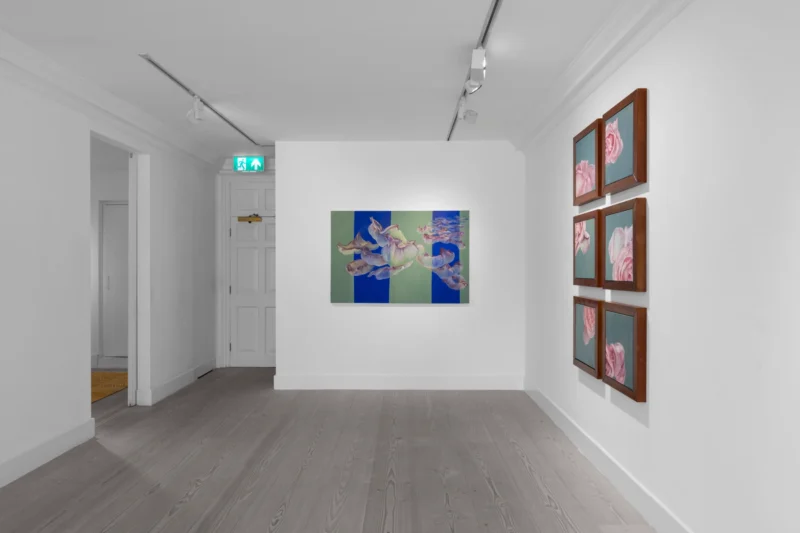 Installation shot from Kalliopi Lemos: A Tide of Roses, @ Gazelli Art House