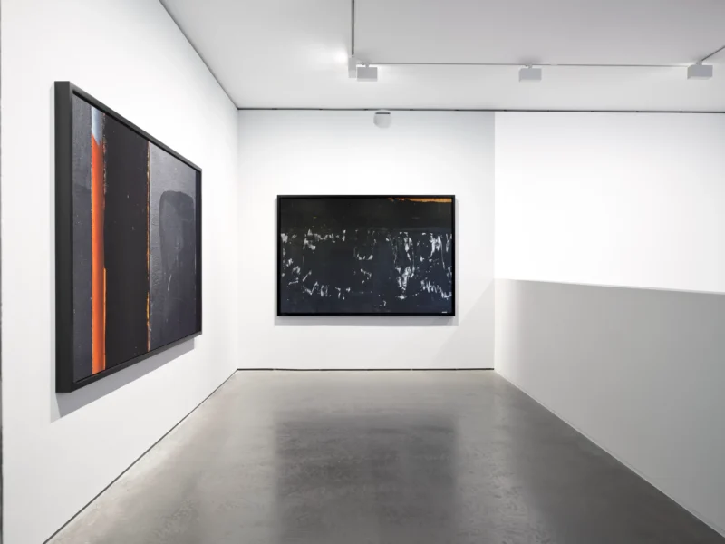 Installation shot from Carrie Mae Weems, @ Goodman Gallery