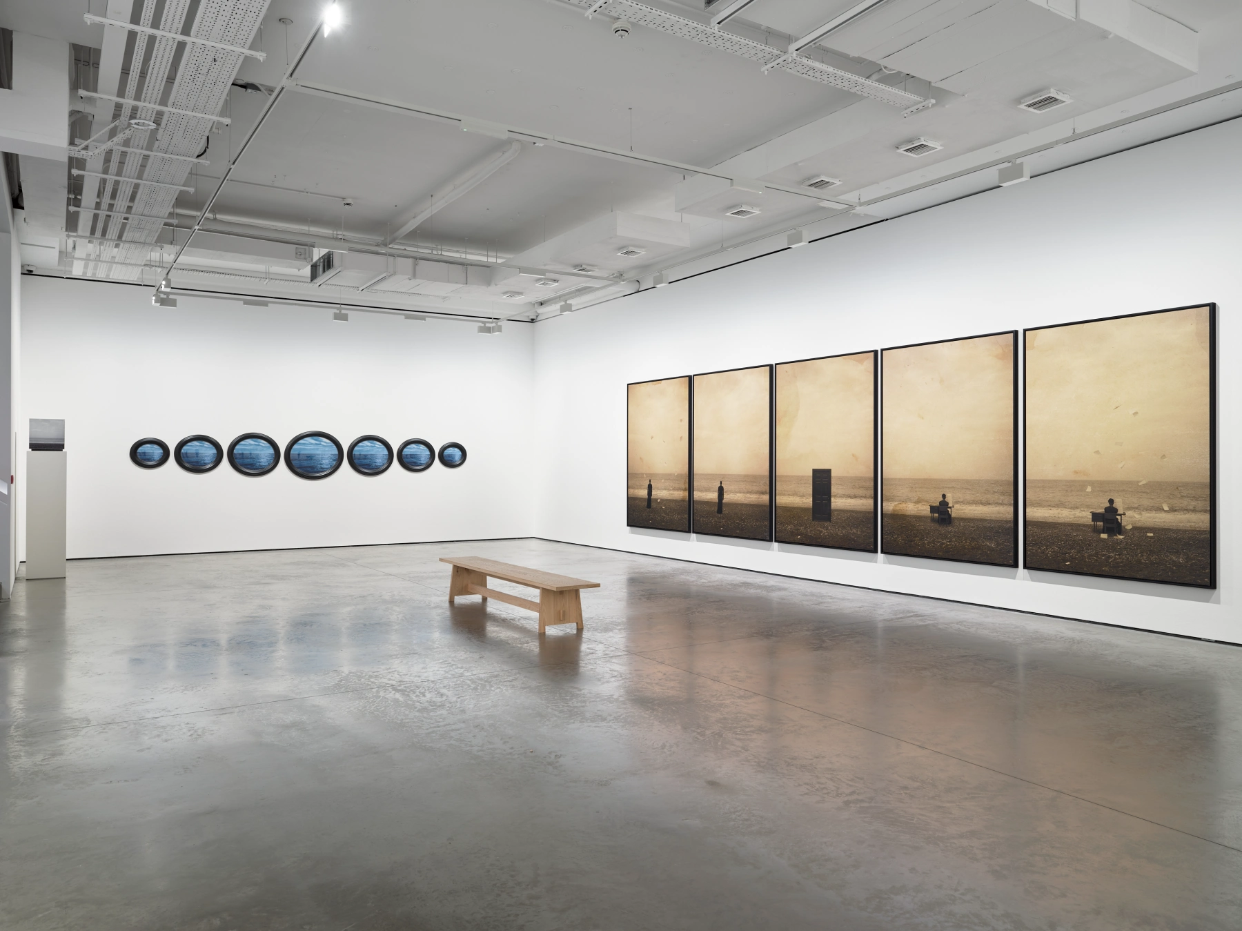 Image for Carrie Mae Weems, at Goodman Gallery