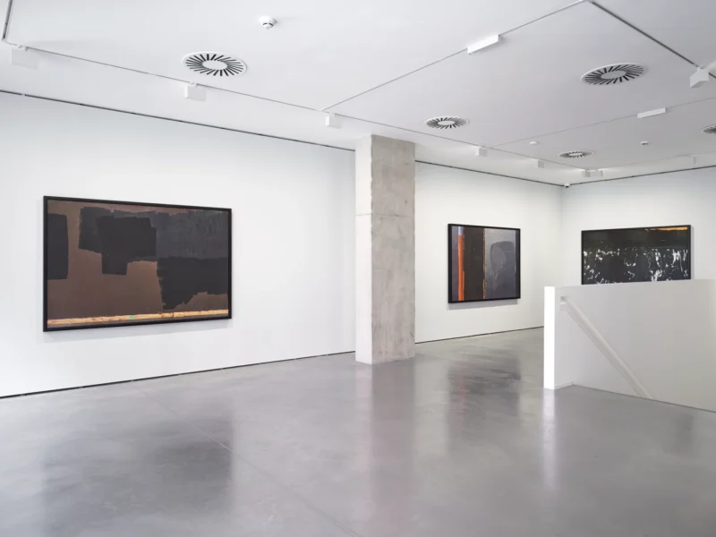 Installation shot from Carrie Mae Weems, @ Goodman Gallery