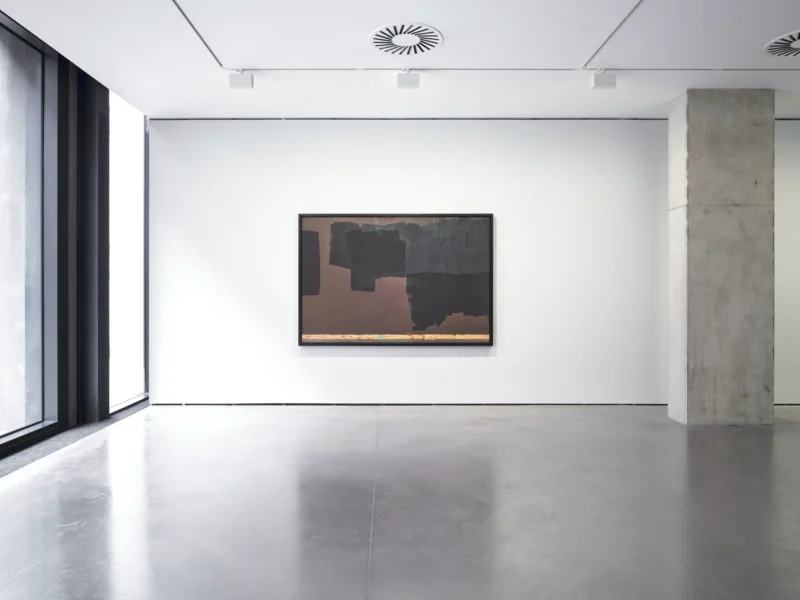 Installation shot from Carrie Mae Weems, @ Goodman Gallery