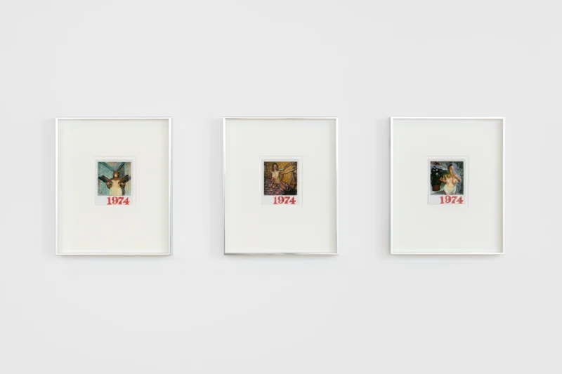 Installation shot from Les Krims: Fictcryptokrimsographs, @ Graces Mews