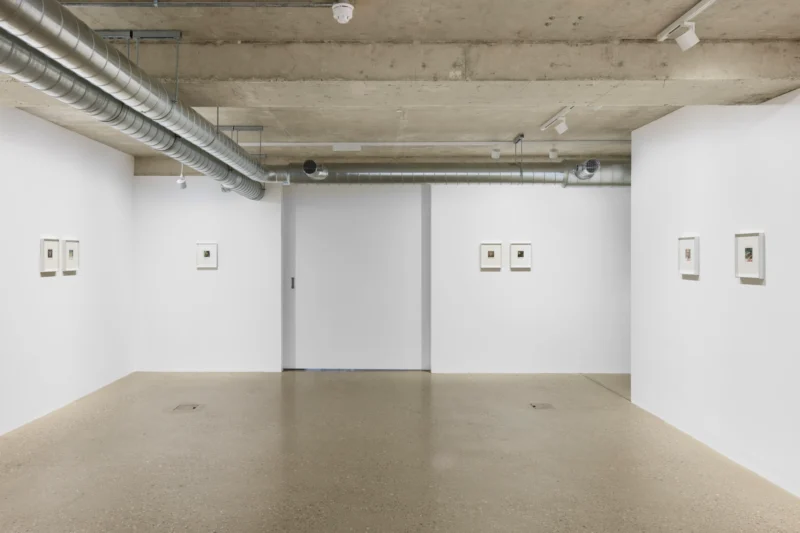 Installation shot from Les Krims: Fictcryptokrimsographs, @ Graces Mews