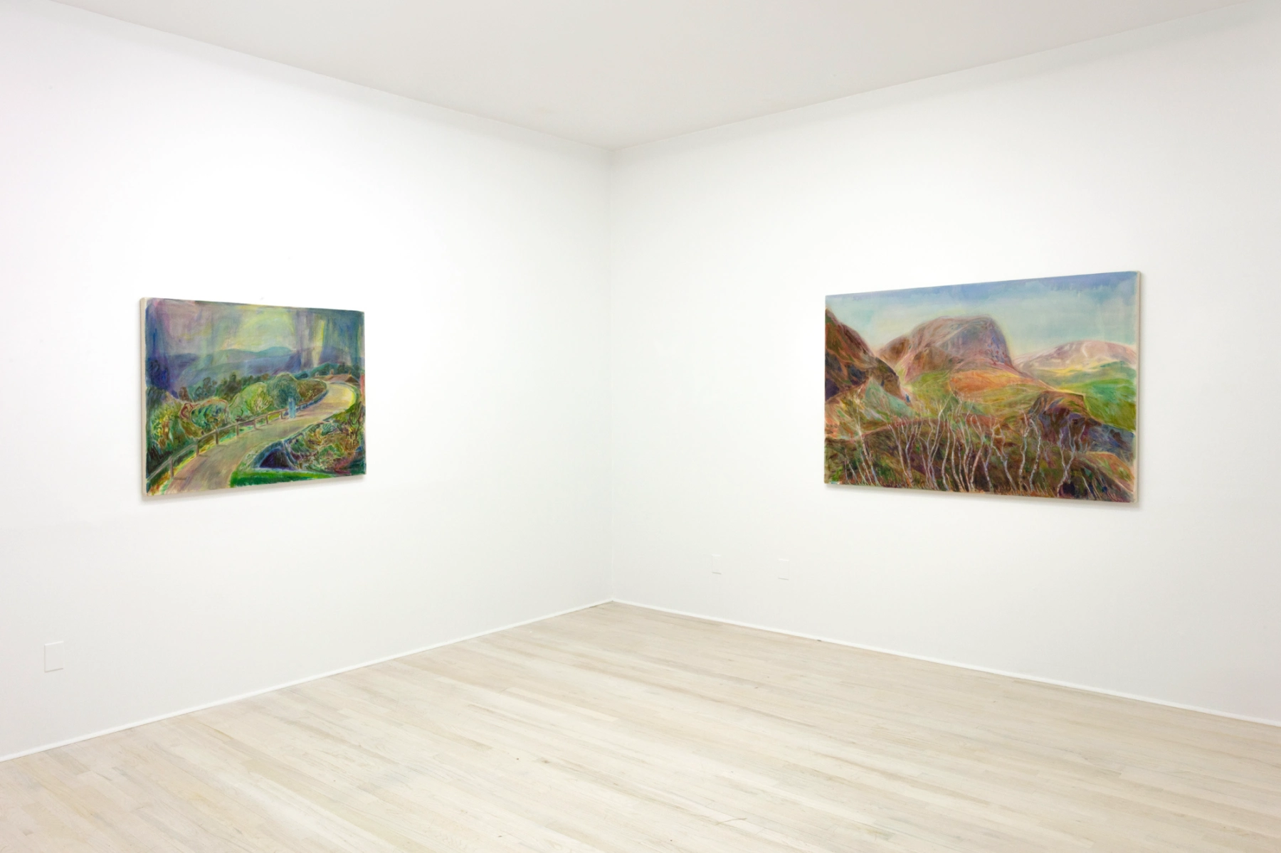 Image for Colin Brant: SUN and RAIN, at Halsey McKay Gallery