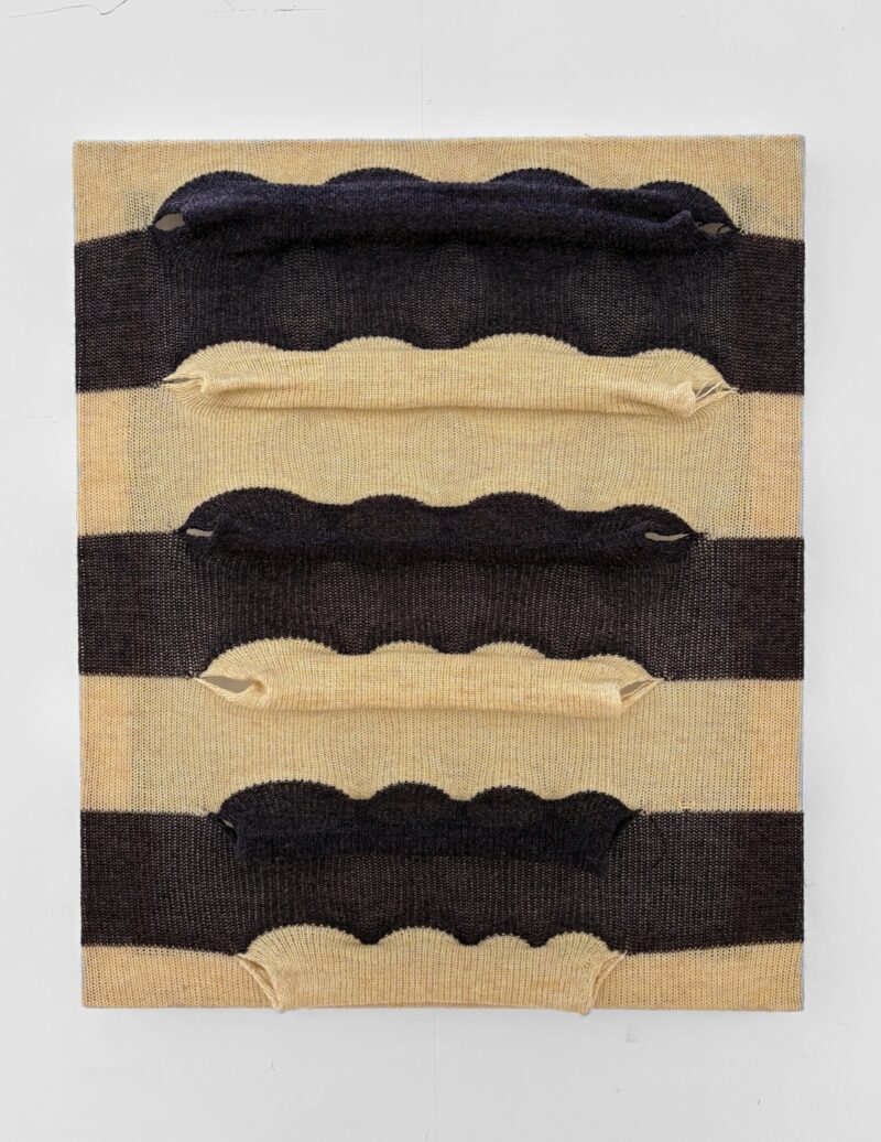 Annie Shead, Stripes and Ruptures, 2026