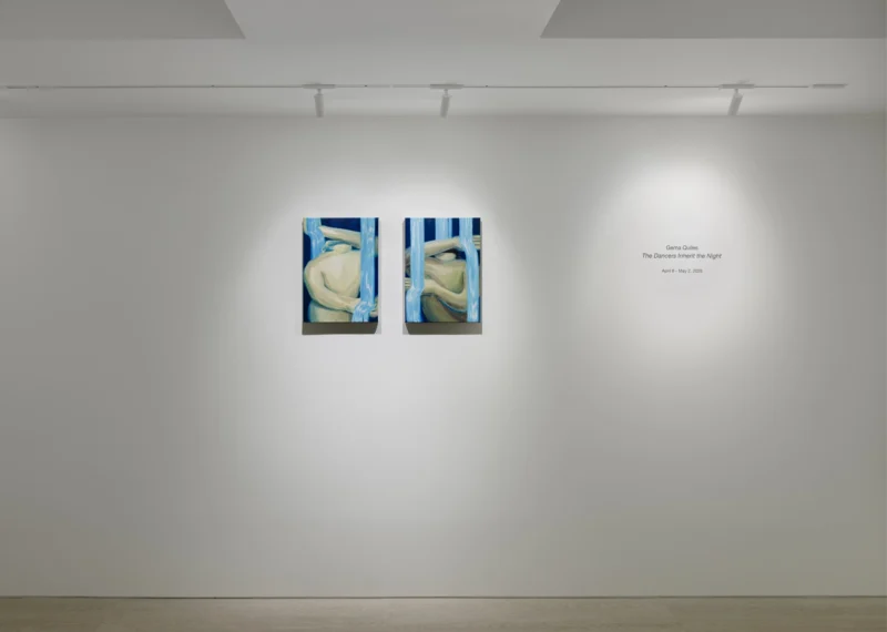 Installation shot from Gema Quiles: The Dancers Inherit the Night, @ LKIF Gallery