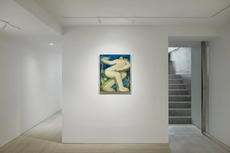 Installation shot from Gema Quiles: The Dancers Inherit the Night, @ LKIF Gallery