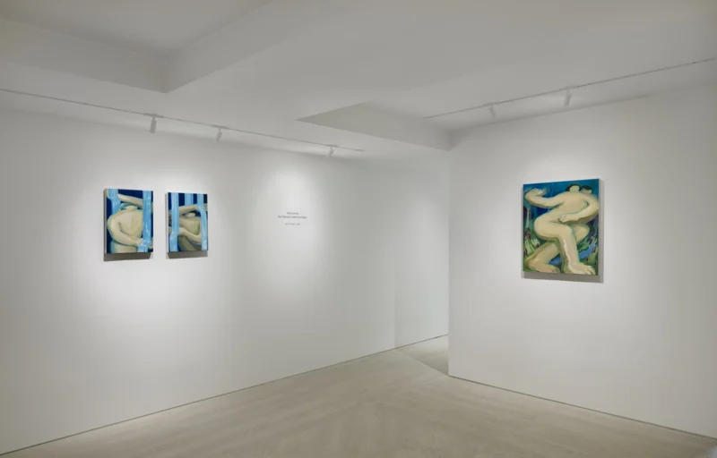 Installation shot from Gema Quiles: The Dancers Inherit the Night, @ LKIF Gallery