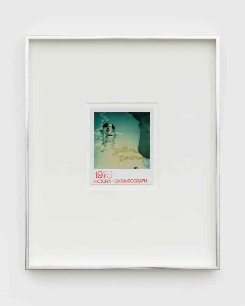Les Krims, Yellow Snow (from series: “Yellow Snow, Red Snow, Blue Snow”), 1975
