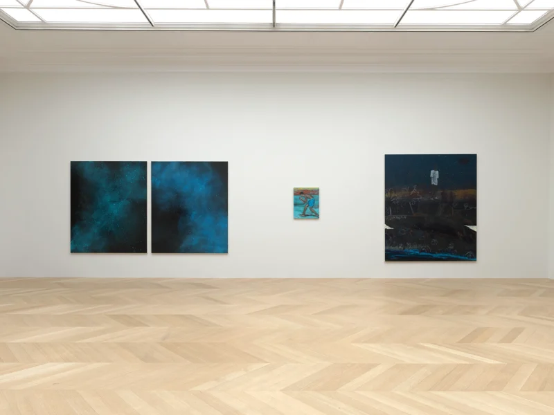 Installation shot from Armig Santos: Baladas, @ Lévy Gorvy Dayan
