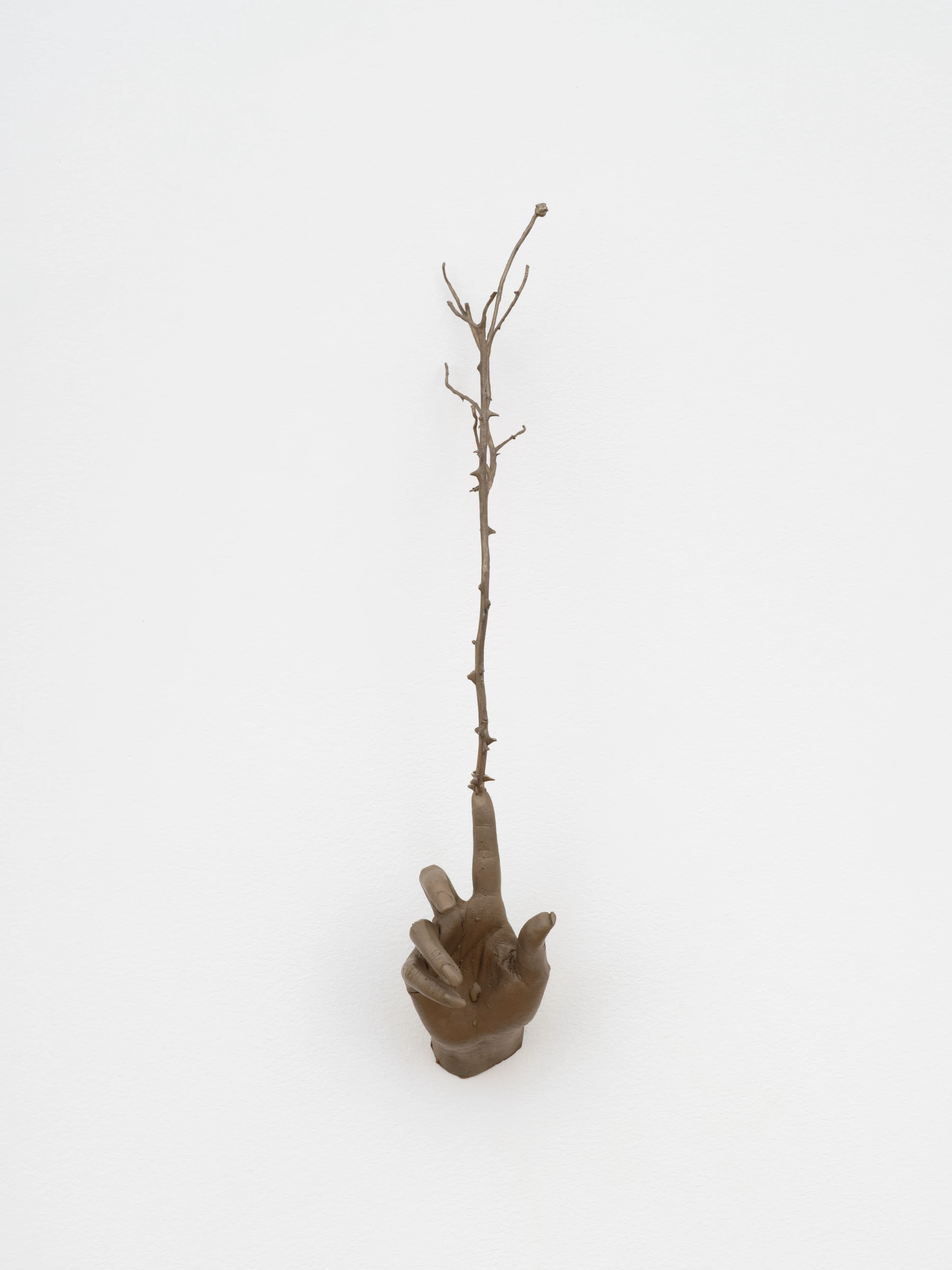 Image for Kelly Akashi: Heirloom, at Lisson Gallery