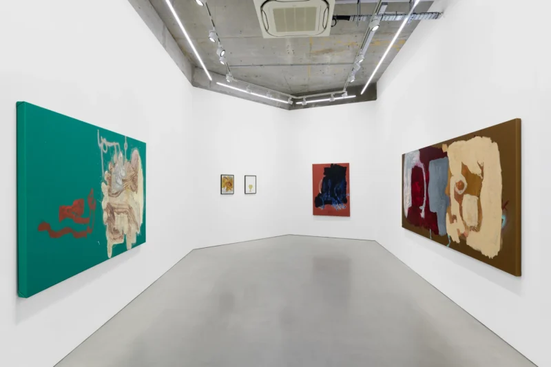 Installation shot from Michaela Eichwald: MÄR, @ Maureen Paley