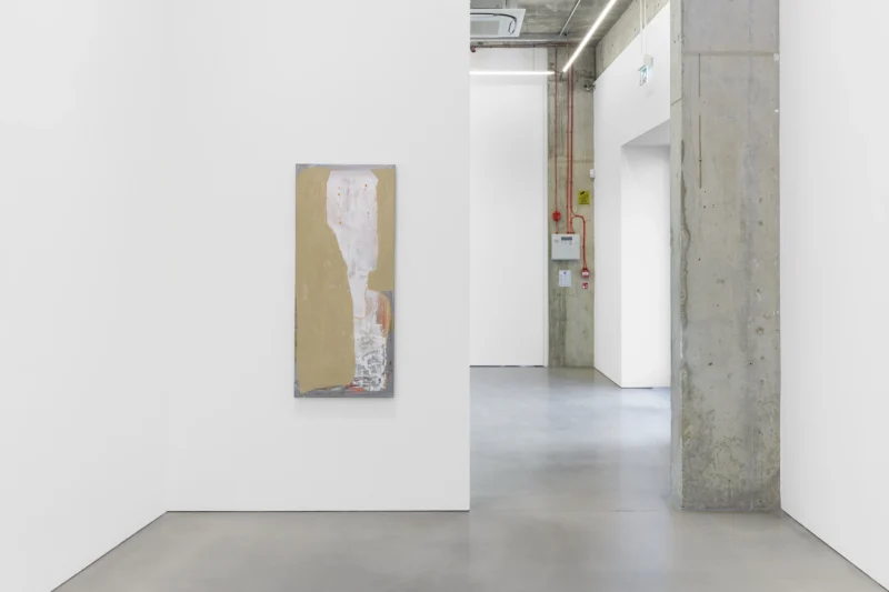 Installation shot from Michaela Eichwald: MÄR, @ Maureen Paley