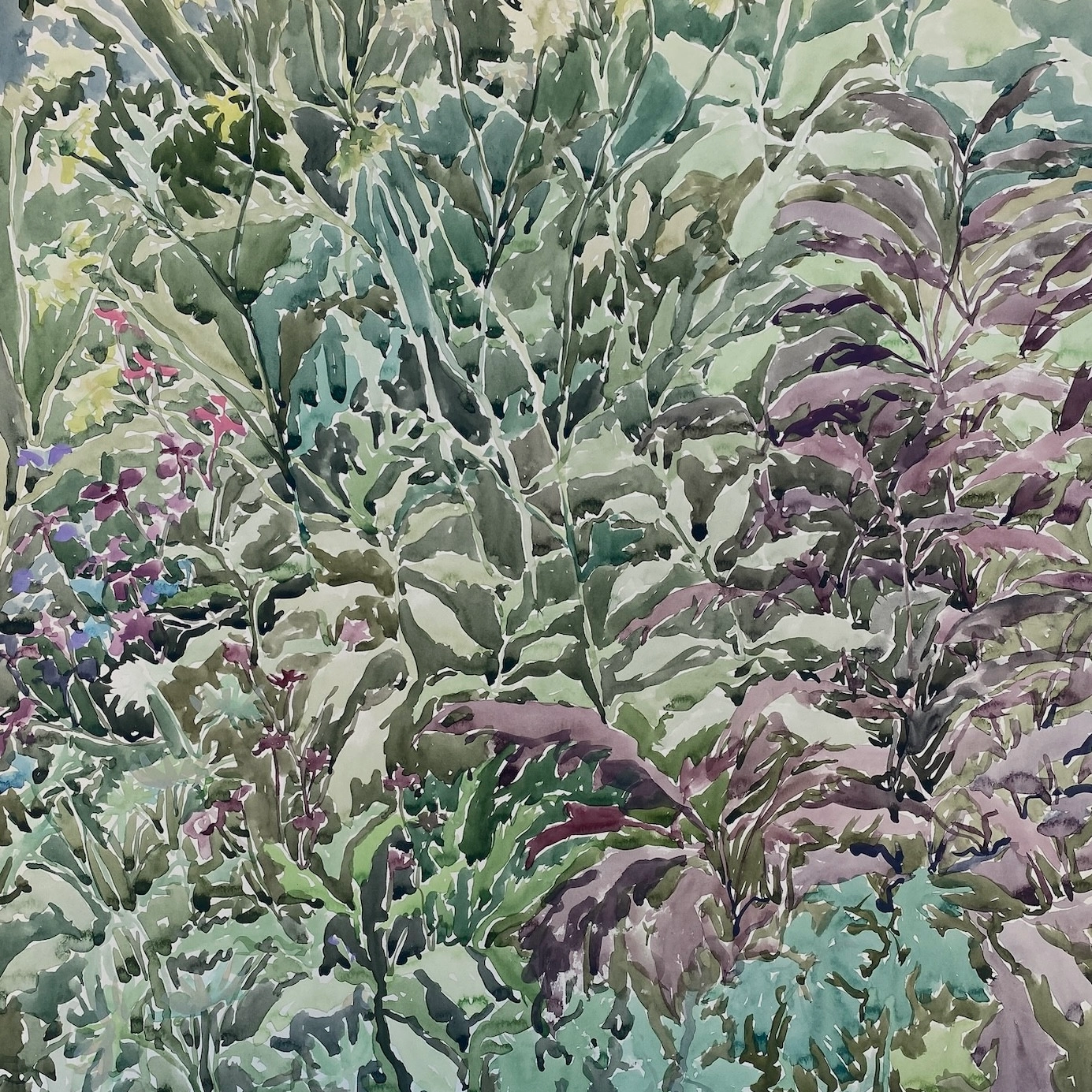 Image for Nature, at Messums West