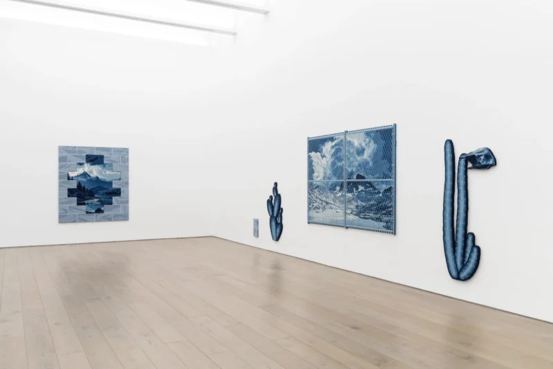 Installation shot from Nick Doyle: Collective Hallucinations, @ Perrotin