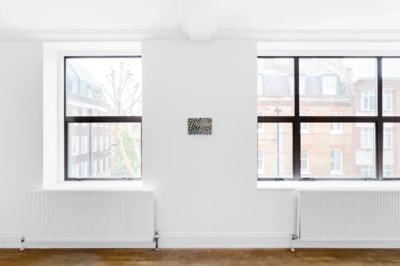 Installation shot from Headcanon, @ Pipeline