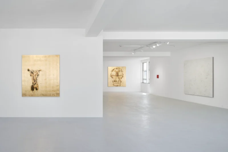 Installation shot from Pierre Vermeulen: Deeper - Deeper, @ RESERVOIR