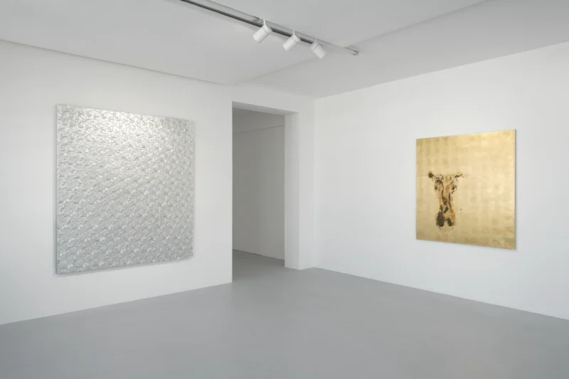 Installation shot from Pierre Vermeulen: Deeper - Deeper, @ RESERVOIR