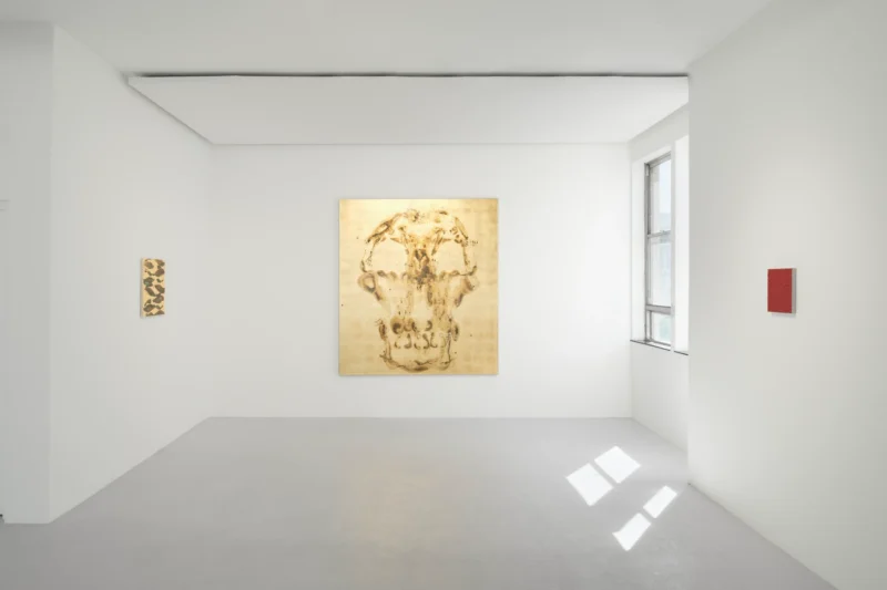 Installation shot from Pierre Vermeulen: Deeper - Deeper, @ RESERVOIR