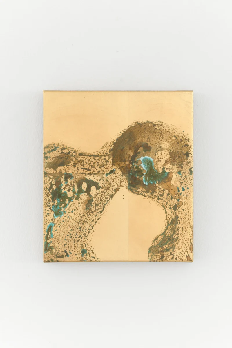 Pierre Vermeulen, No pain no gain, 2026