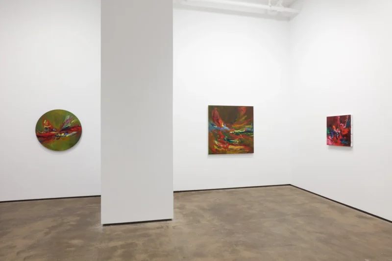 Installation shot from Lindsay Adams: SOIL, @ Sean Kelly Gallery