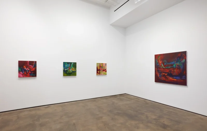 Installation shot from Lindsay Adams: SOIL, @ Sean Kelly Gallery