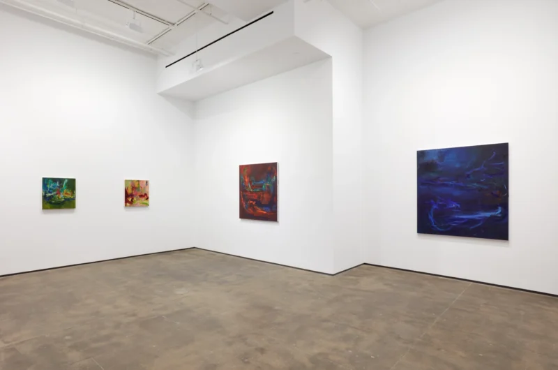 Installation shot from Lindsay Adams: SOIL, @ Sean Kelly Gallery