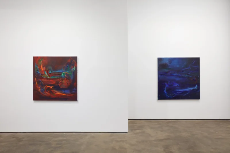 Installation shot from Lindsay Adams: SOIL, @ Sean Kelly Gallery