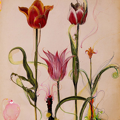 Exhibition image from the latest newsletter