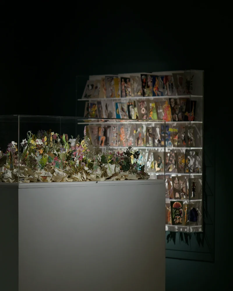 Installation shot from Jack Milroy: Bibliophilia, @ Shapero Modern